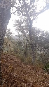 1.1M views · 12K reactions | Excelente día amigos 鸞 | Randy Ramírez | Facebook