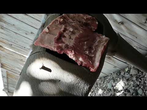 30 pound recurve kill?