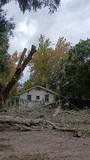 Today's fun was a very dangerous very dead tree we got it done safely and efficiently | Precision cuts co.