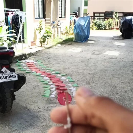 Dragon Kite Flying: Tips and Tricks