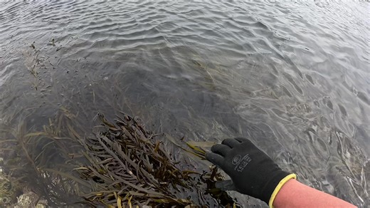 Fishing for Crays at a New Location - A Thrilling Adventure