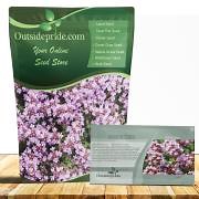 Creeping Thyme Thymus Serpyllum Drought Tolerant Ground Cover Plant Seed
