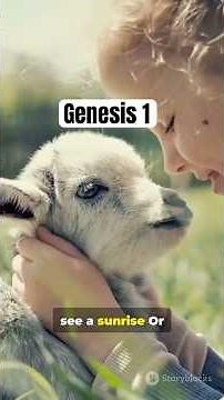 Amazing Creation: Genesis 1