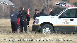 70K views · 1.2K reactions | THEO'S ADVENTURE: Theo the beagle took his love for chasing geese a bit too far -- chasing the birds across the ice of Denver's Sloan Lake and getting itself trapped on an island Friday, forcing his owner to call the Denver Fire Department to rescue the stranded pup. | ABC World News Tonight with David Muir | Facebook