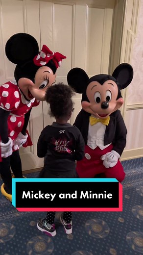 Mickey and Minnie Magical Disney Character Meet and Greet