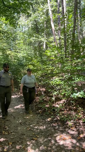 While we ARE a mountain, not all of the hikes at Catoctin Mountain Park have to be climbs! 🌄 Have you been on the Spicebush Trail? Beginning at Chestnut Picnic Area, Spicebush is our wheelchair accessible trail. This quarter-mile loop has interpretive panels along the entire trail! If you’re looking for other easier trails in the park, try the Blue Blazed Whiskey Still Trail or the Browns Farm Trail🥾 What’s your favorite trail in the park? Video description: Two park employees taking a hike wh