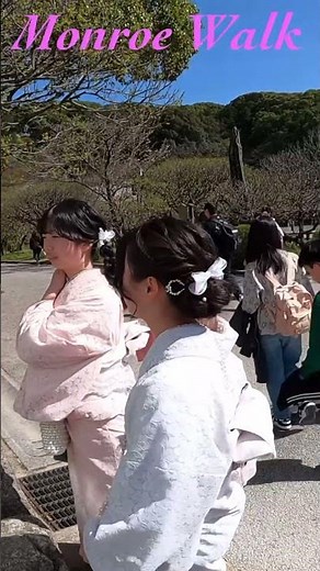 着物美人のモンローウォーク💕#kimono #maiko #後ろ姿美人 #モンローウォーク