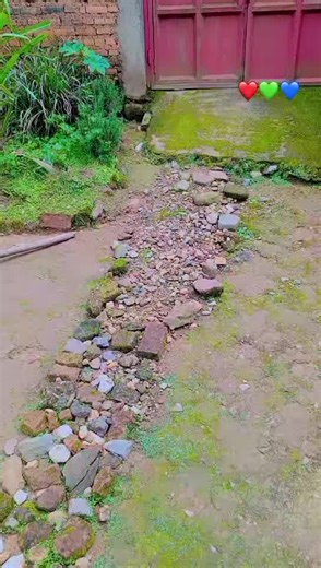 queen Lissa (@user75080031912592)’s videos with original sound - queen Lissa