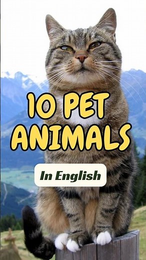 20 Pet Animals Name in English | Learn Pet Animals for Kids #shorts