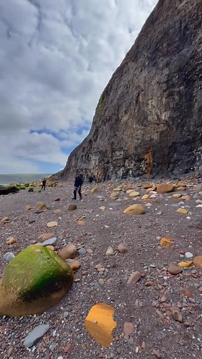 131K views · 271 reactions | Use code AMMOFOSSIL10 for 10% off!...