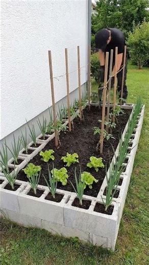 How to build and scale a compact garden that feeds you