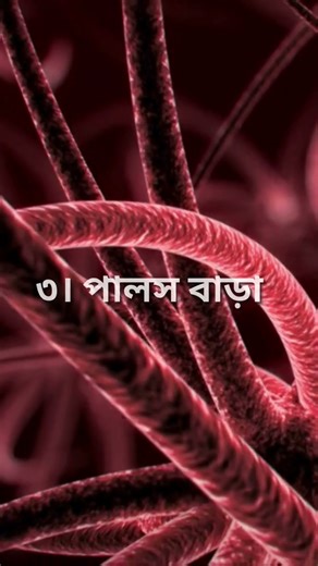 Heart Disease Risks in Bangladesh: Early Symptoms & Prevention Tips