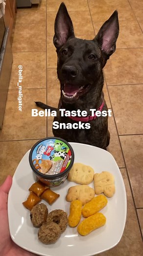 Bella's Snack Taste Test Adventure