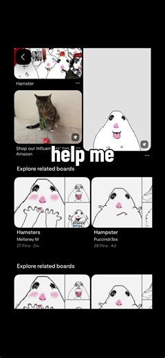 #fyp #meme #hamster #hamstermeme #viral