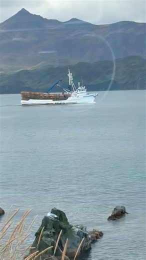 Northwestern Dutch Harbor: Inside Deadliest Catch Waters