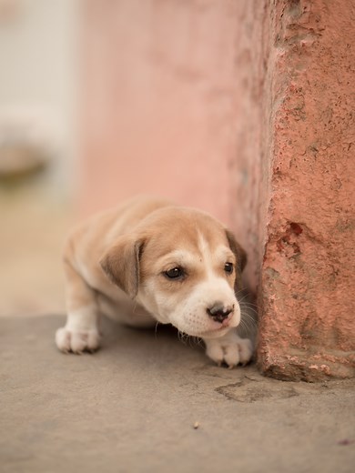 L'OUVERTURE EN PHOTO : la comprendre et la maîtriser