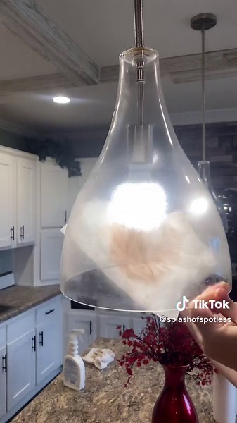 Is it just me or do these completely change the look of the kitchen when there clean properly?😂 anyways I hope this helps #housekeeper #cleantok #cleaning #grime