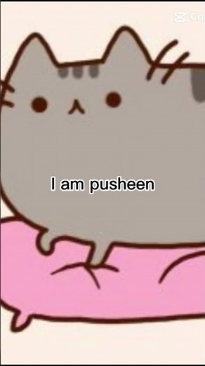 Pusheen and stormy