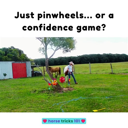 Adding something new to your horse’s environment is a simple form of enrichment — and it can do wonders for their confidence 🌈 Bright, gently moving objects like pinwheels invite your horse to notice, investigate, and make their own choices. Some horses step right up. Others take a little time. And both are perfect. That space to observe and decide helps horses feel braver in everyday situations. We love activities like this because they’re low-pressure, safe, and effective. It’s always special