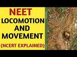 Locomotion And Movement/Class 11/NCERT/Chapter 20/Quick Revision Series/NEET/AIIMS/JIPMER/Biology