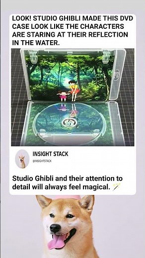 Studio Ghibli's HIDDEN Detail on This DVD Case Will Blow Your Mind!
