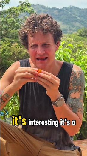 I Tried Wild Mountain Peach Palm in Costa Rica