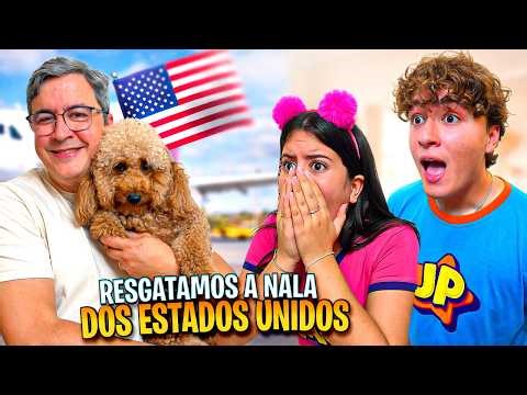 I went to pick up Nala in the USA - Maria Clara and JP's Family