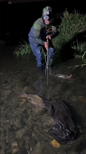 Extreme Night Spearfishing in Shallow River | Giant Carp Hunting with Headlamp 🔥 #shortselling