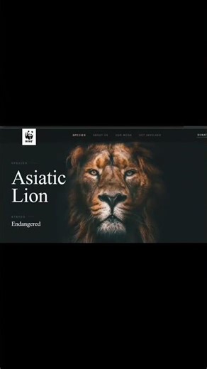 Simple and Effective Web Design for Users 🔥
