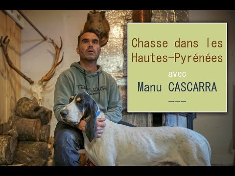 CHASSE dans les HAUTES PYRÉNÉES