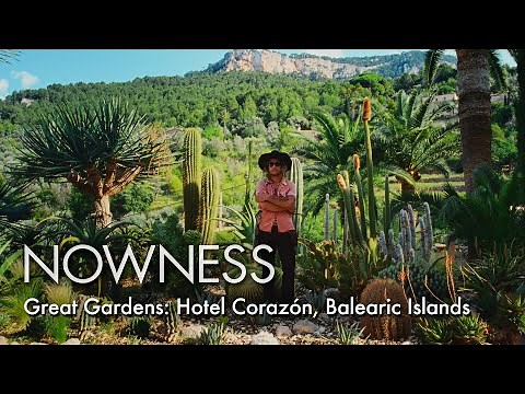 At Hotel Corazón, Mallorca, cacti and diverse farmland feed Kate Bellm & Edgar Lopez’ artistic haven