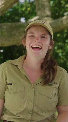 Crikey! It's International Zookeeper Day 🐊🐢🦅