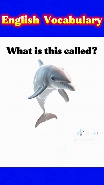 Learn English Vocabulary words of Extent animals,#englishteacher #learnenglish #vocabulary #foryoupage❤️❤️ #uk