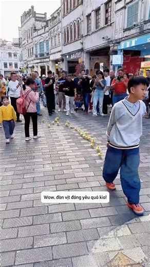 The boy took the whole flock of ducks for a walk in the street. #shorts