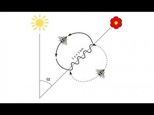 CAPE_Communication Studies (Module 3: Speaking & Writing)