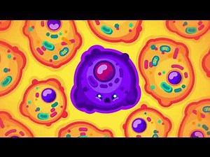 Kurzgesagt out of Context