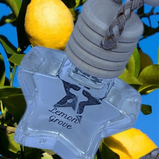 Star Glass Car Diffuser: Lemon Grove, Sea Breeze, Simply Fresh - Etsy