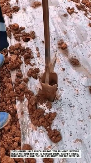 Practical Manual Mulch Hole Maker for Planting Preparation #AgriculturalInnovation