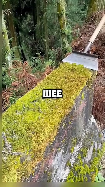 1/2 Часть | Клиенту не понравились мои шутки, и он пожаловался на меня менеджеру ресторана. Но жена поставила этого умника на место #история #реддит #тучныйжаб