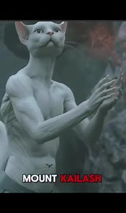 Cosmic old Urmah Anuhazi DNA Activation 🦁‼️Activation of the old bloodline has begun ‼️ 🦁 Braking news 🐯‼️ The royal White lions enter this system The first ships of the royal fleet are just arriving 🦁 At the end of the tides, the administration also changes, after 250000 years the Andromeda administration ends and the anuhazi take over so long lives already at two underground crystal cities, now all felines are of ancestry ANUHAZI ‼️ CAT PEOPLE AND WE ANNOUNCE That change begins ‼️We are al