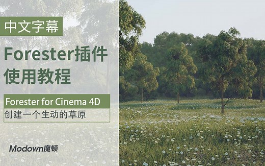【C4D-Forester插件使用教程】之如何创建一个生动的草原 从零开始创建一颗树 Forester for Cinema 4D中文教程