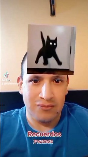 What kind of cat am I according to this meme?