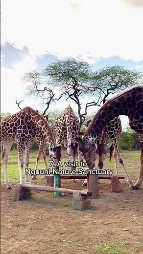 Quelles sont les meilleures choses à faire au Kenya ? | Top 15 des expériences ✨