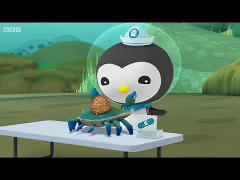 Octonauts - The Great Christmas Rescue