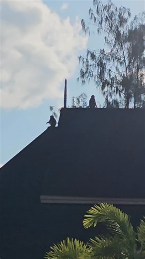 Current situation. #exploreuntilyoudie #wheninkrabi #wheninthailand #ig_thailandia #ig_krabi | Romulus Carson