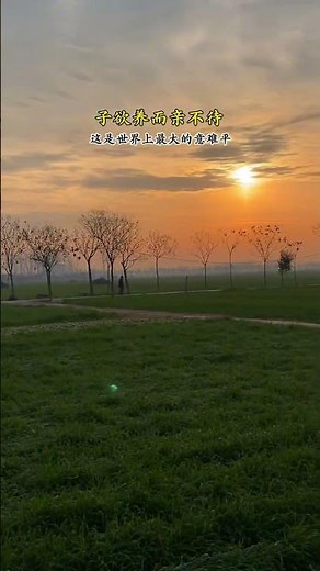 When Parents Are Gone, We Lose Our Hometown | 父母去，人生只剩归途