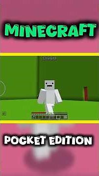 Settings For Change Minecraft Pocket Edition Into Java...