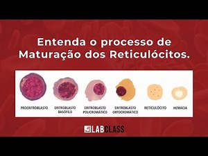 Entenda o processo de Maturação dos Reticulócitos. #shorts