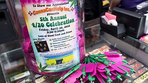 Weed culture hasn't changed, the industry has