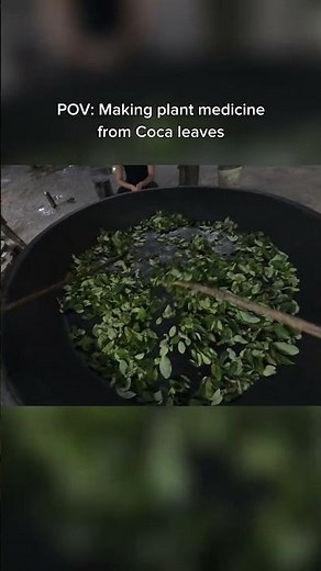 Indigenous Family's Sacred Mambe Recipe Changed My View on Colombia Forever